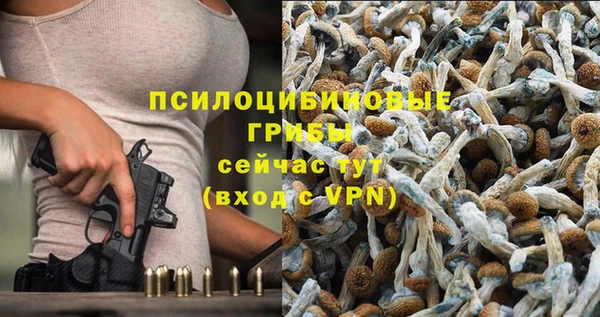 первитин Рославль