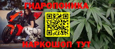 круглые Аргун